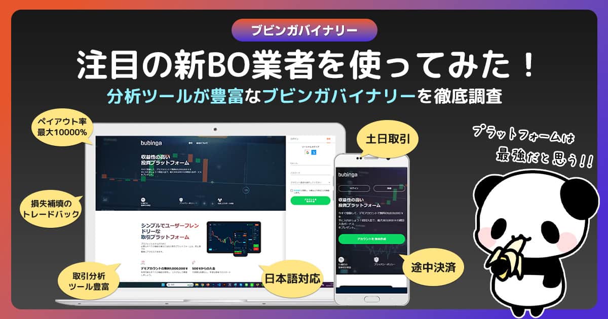 ブビンガバイナリーとは？サービスの内容や特徴を紹介