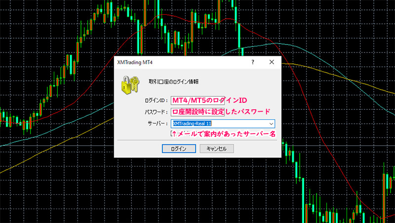 MT4/MT5のログインフォーム（パソコン版）