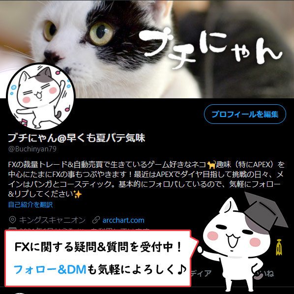 ブチにゃんのTwitterアカウントに質問する