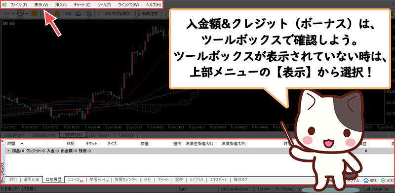 XMのMT4・MT5で入金した資金とクレジット（ボーナス）を確認する方法