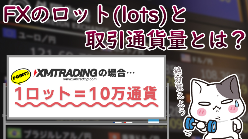 XMTradingの1ロットはいくら？計算方法と必要証拠金の関係を解説！