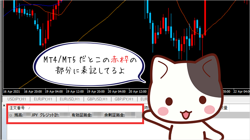 MT4/MT5のクレジットと残高の表示